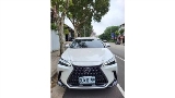 2023 Lexus 凌志 NX