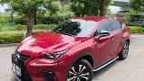 2020 Lexus 凌志 Nx