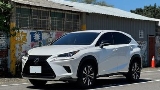 2020 Lexus 凌志 Nx