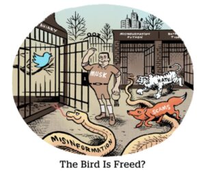 The Bird Is Freed?
