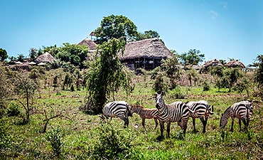 APOKA SAFARI LODGE