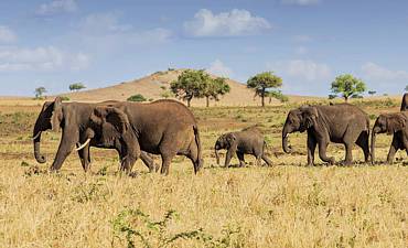 PARKS & RESERVES IN UGANDA