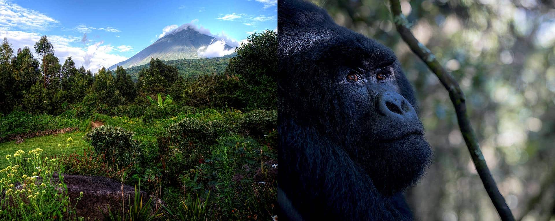 Mgahinga Gorilla National Park