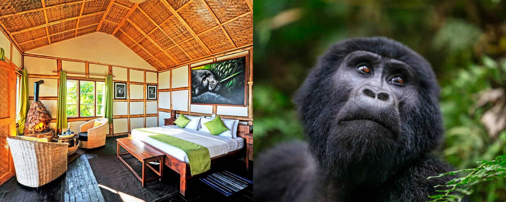 Nkuringo Bwindi Gorilla Lodge