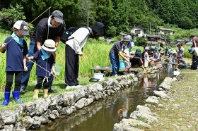 【動画】ザリガニ釣って地域保全　和歌山県田辺市本宮町