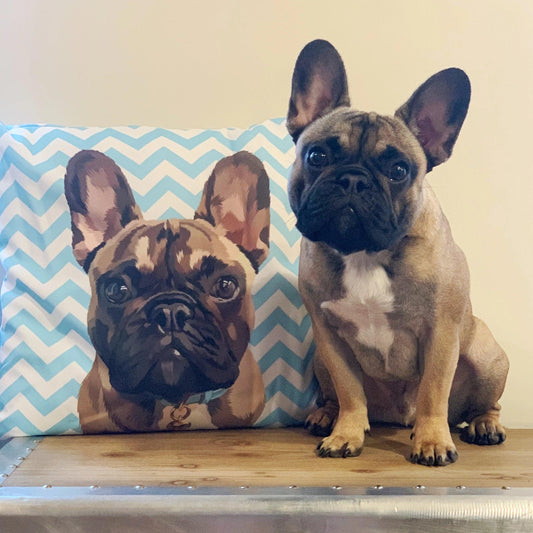 Custom Pet Couch Pillow with Cover | Alpha Paw