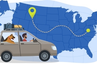 A cartoon of a person and his dog in a car, loaded with suitcases. The car is superimposed over a map-like image of the United States, indicating they are traveling domestically.