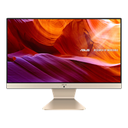 ASUS Vivo AiO V222 FA/GA