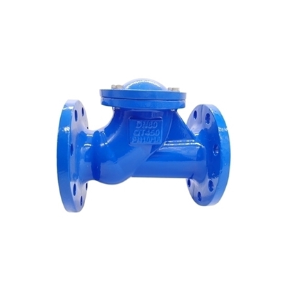 6" Flanged Ball Check Valve