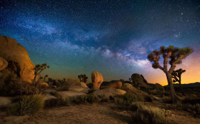 Joshua Tree National Park HD Wallpaper 114495