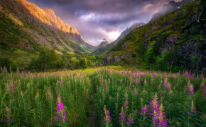 Valley Beautiful High Definition Wallpaper 119252