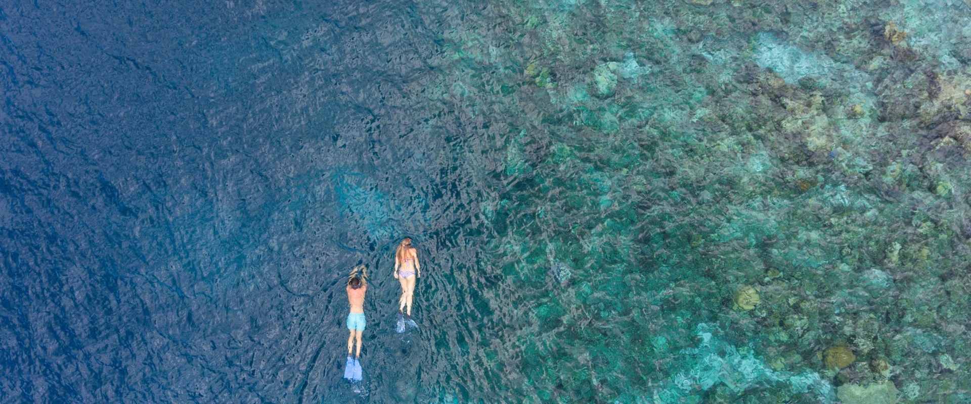 Snorkelling in House of Reef at Baros Resort Maldives