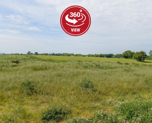 A green former battlefield under a blue sky 