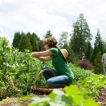 BBVA-agricultura-ecologica-int-naturaleza-sostenibilidad-tierra-alimentos-huerta