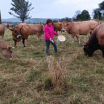 Dar voz a las mujeres rurales para conseguir un mundo más sostenible