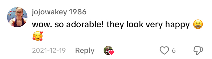 Comment about sheep being adorable and happy with heart and smile emoji on social media post.