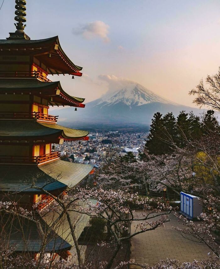 Pagoda overlooking cherry blossoms with Mount Fuji in the background, capturing incredible world photos.