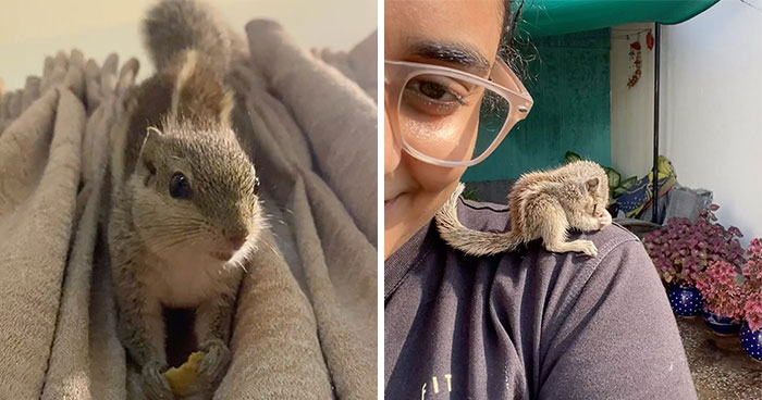 Heartwarming Story Of A Tiny Squirrel And The Family Who Took Her In