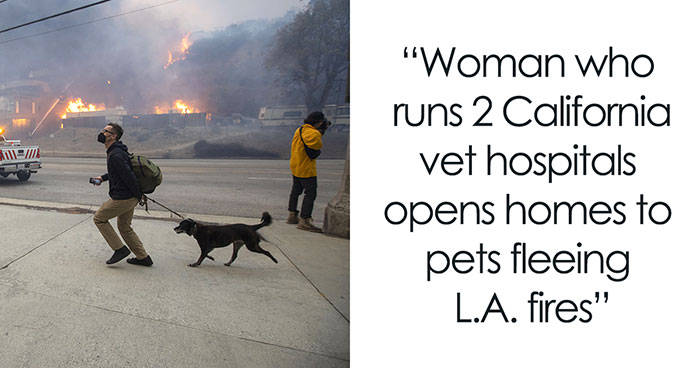 In The Midst Of The LA Fires, 28 Wholesome Moments Offer A Glimpse Of What Really Matters