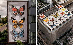 Artist Adds Charm To Buildings By Painting Giant Butterfly Murals (33 New Pics)