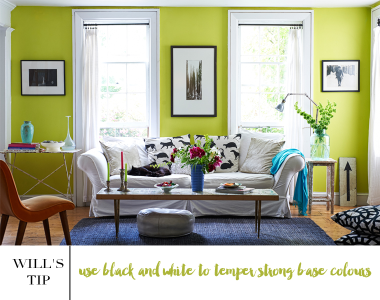 What Color Goes with Lime Green: Tips for Choosing the Perfect Match ...