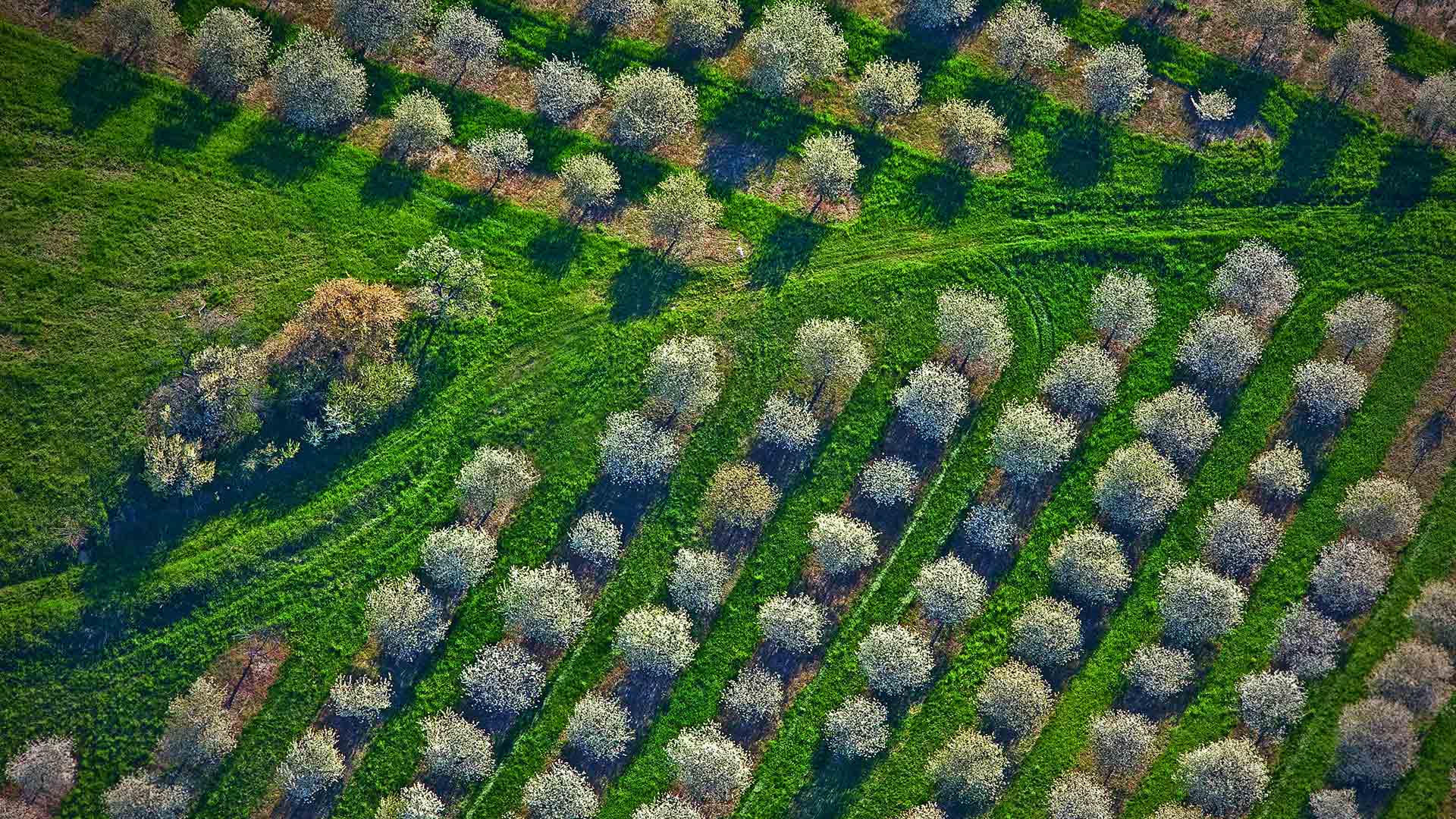 Mason County MI