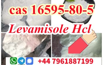 Levamisole hydrochloride cas 16595-80-5 Fast Delivery postive feedback