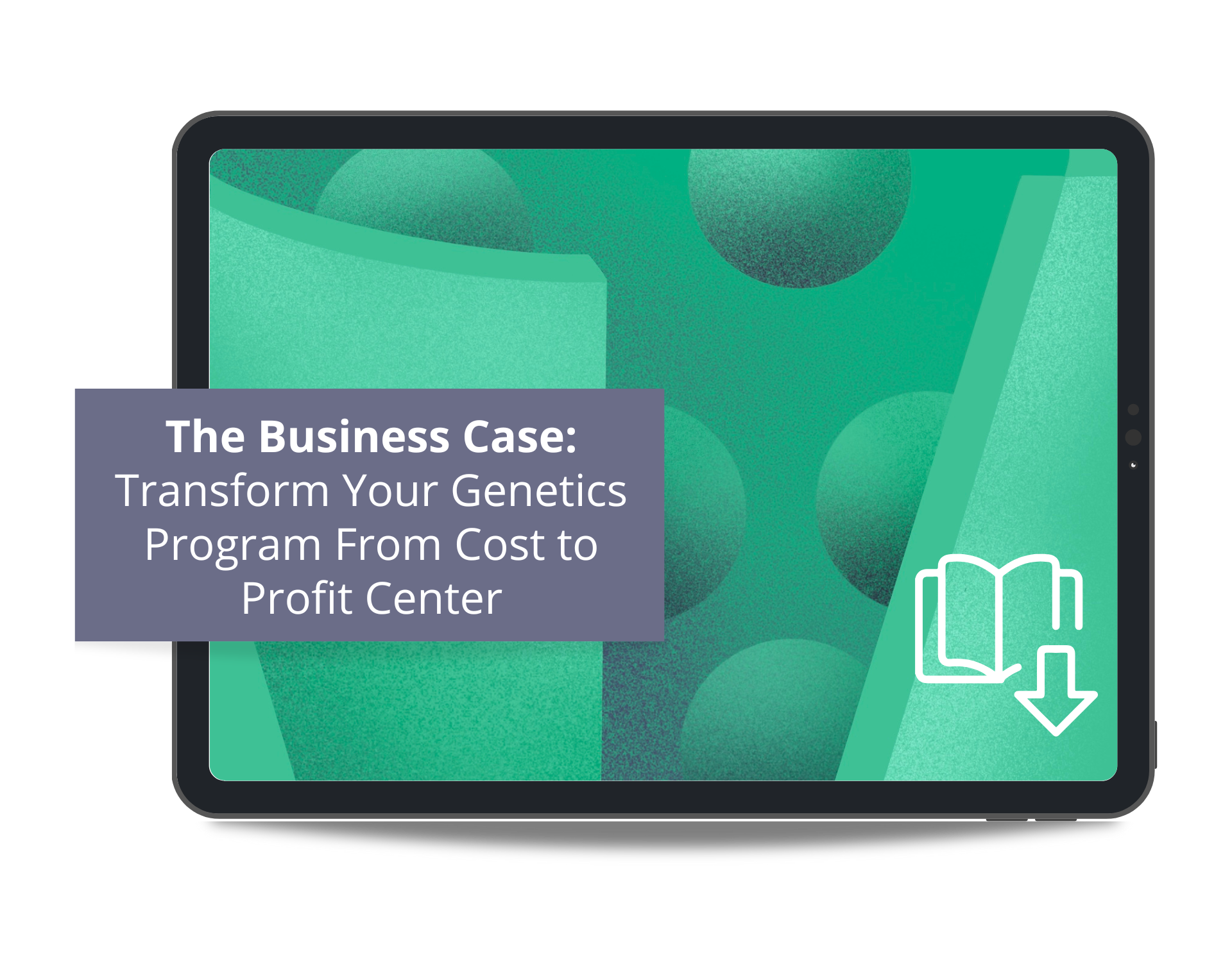 eBook Mockup - The Business Case