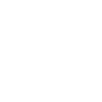 Pinterest Icon