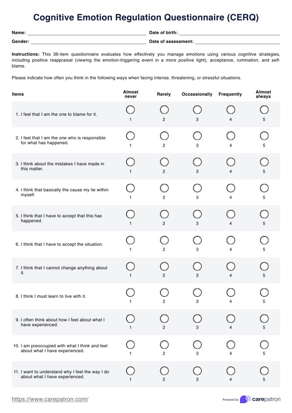 Cognitive Emotion Regulation Questionnaire (CERQ) PDF Example