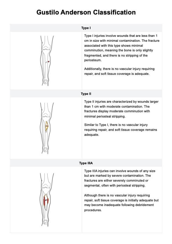 Gustilo Anderson Classification PDF Example