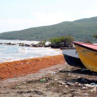 Eroded beaches littered with rotting Sargassum Seaweed have become the norm for fishers along the Hellshire bay. Scientists say both are due to the effects of climate change.