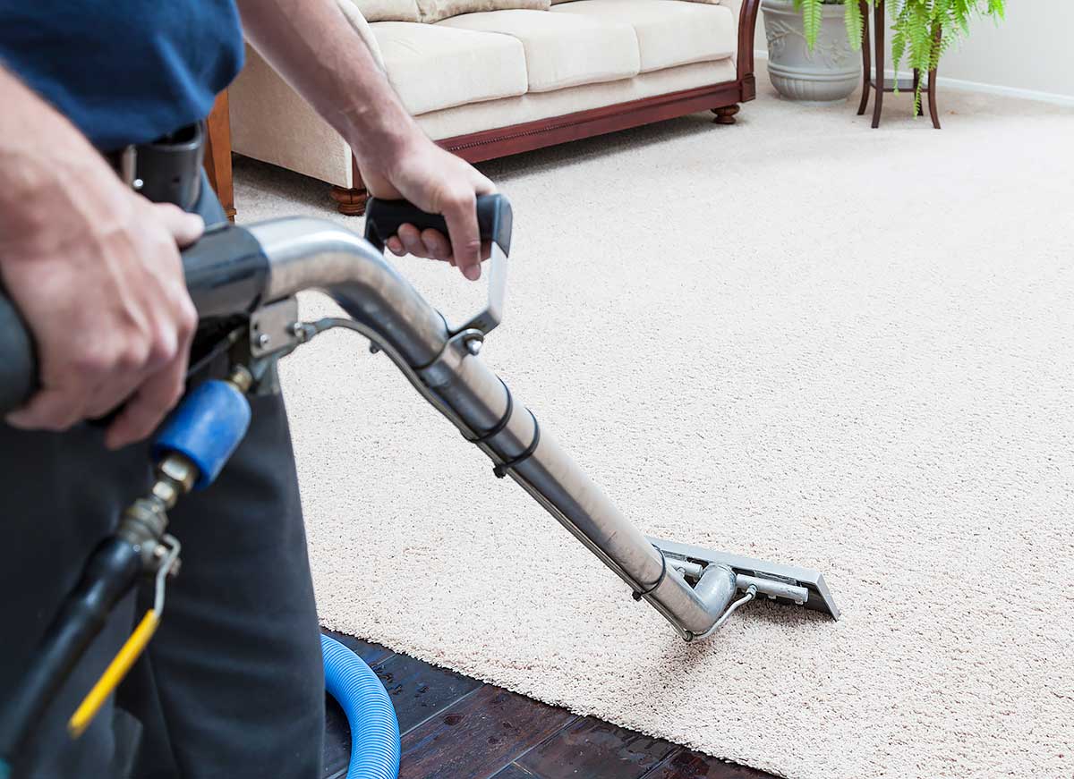 Carpet Cleaning Process Like a Pro