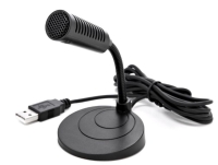 Computer microphone