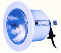 Mains Downlight