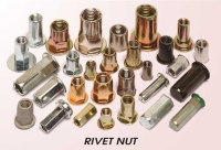 Rivet Nut