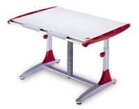 CAMBRIDGE ERGONOMIC DESK