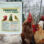 nystatin for chickens