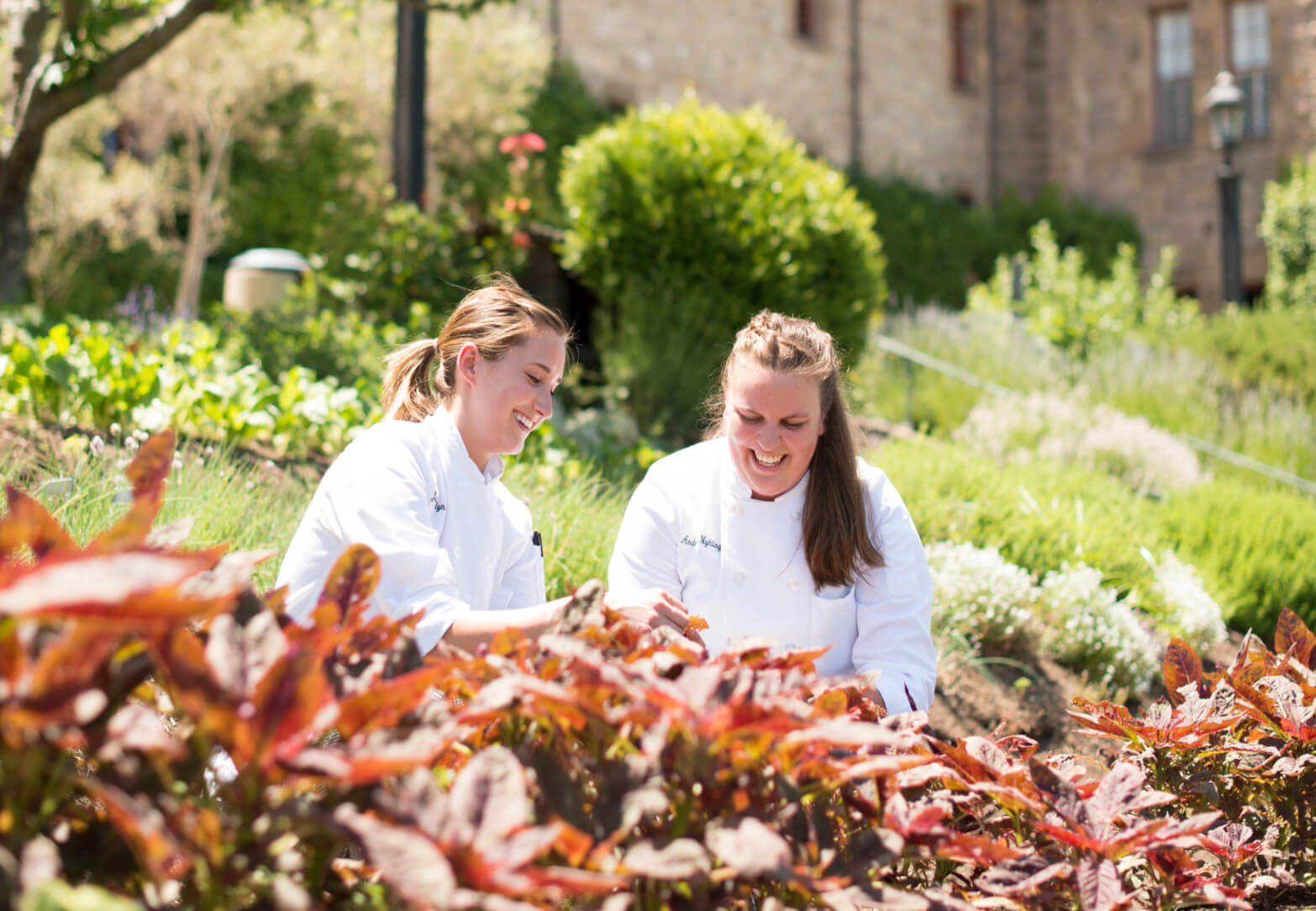 Two women in white chef coats are smiling and picking herbs in a lush garden with various plants and greenery. A stone building and more greenery are visible in the background, indicating a sunny and pleasant outdoor environment.