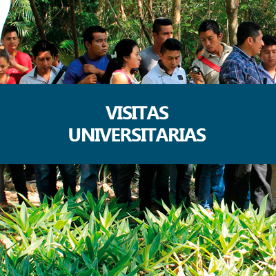 VisitasUniversitarias