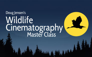 Doug Jensen's Wildlife Cinematography Master Class