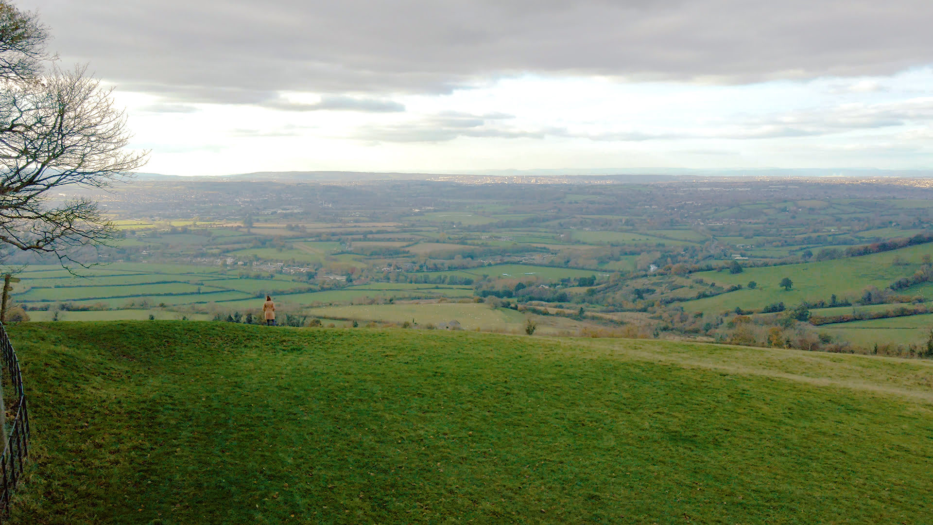 Drone View of Rural Fields in Kelston