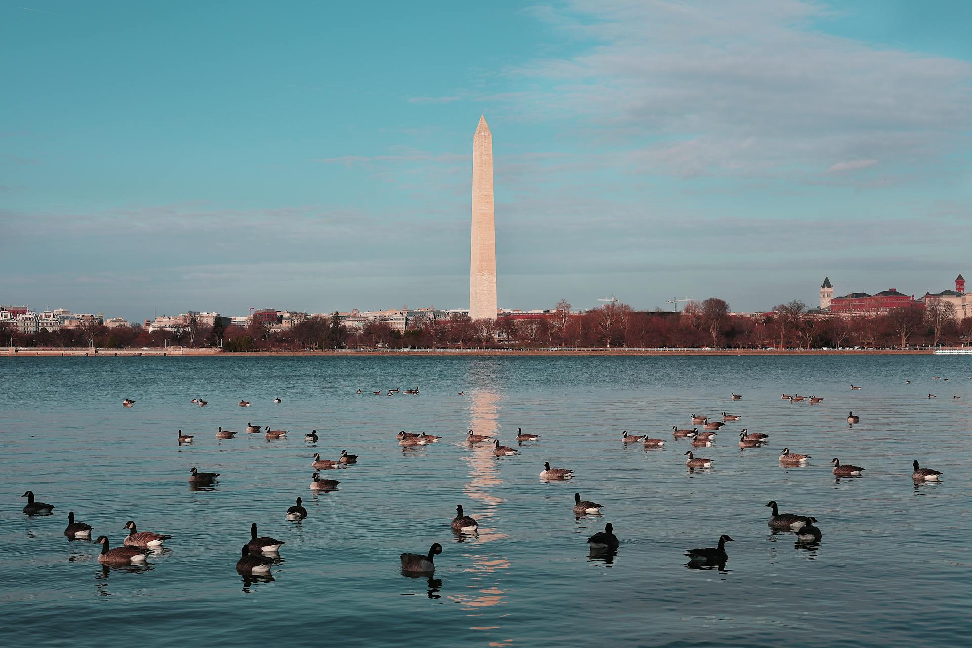 washington dc monument