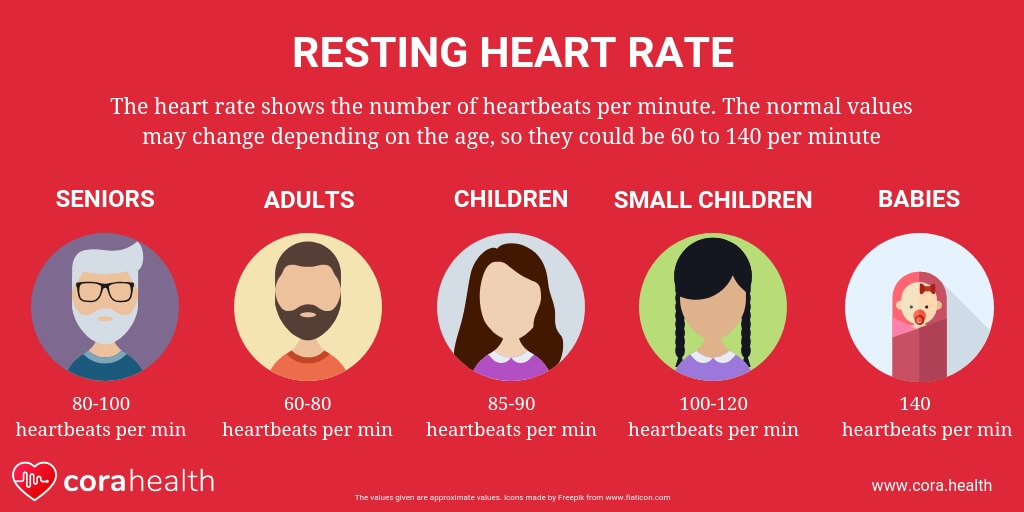 Normal Resting Heart Rate Chart For Women