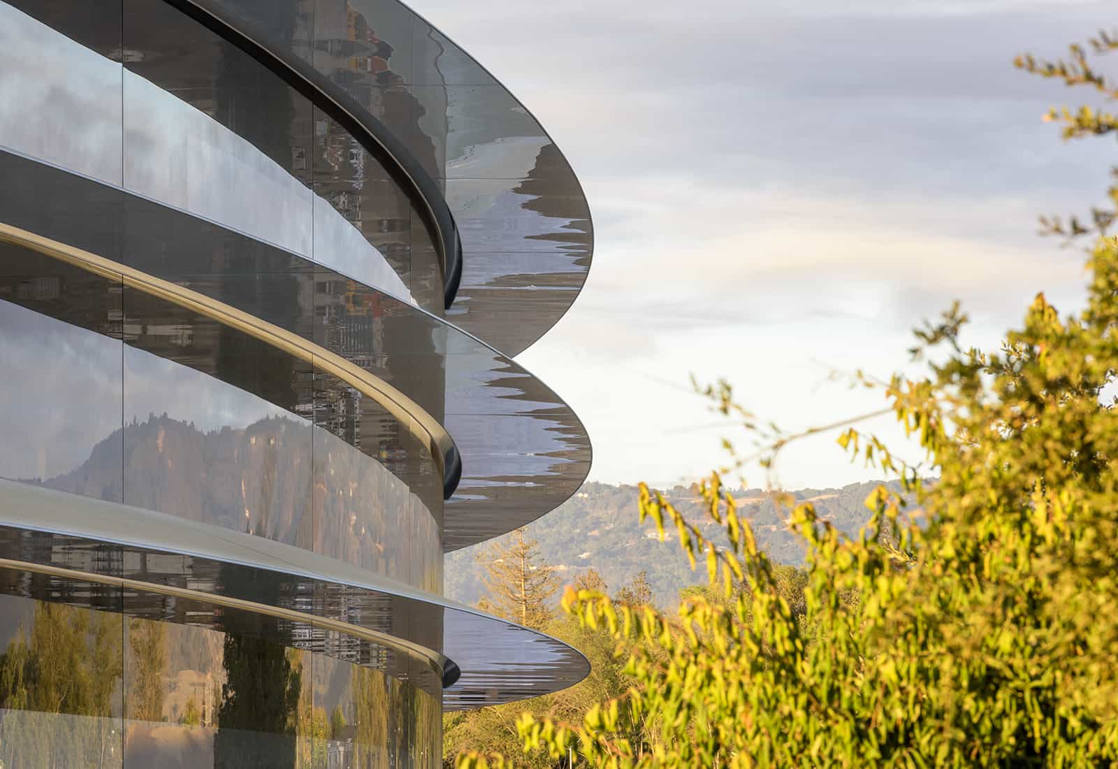 Apple Park Close up