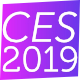 CES 2019 bug