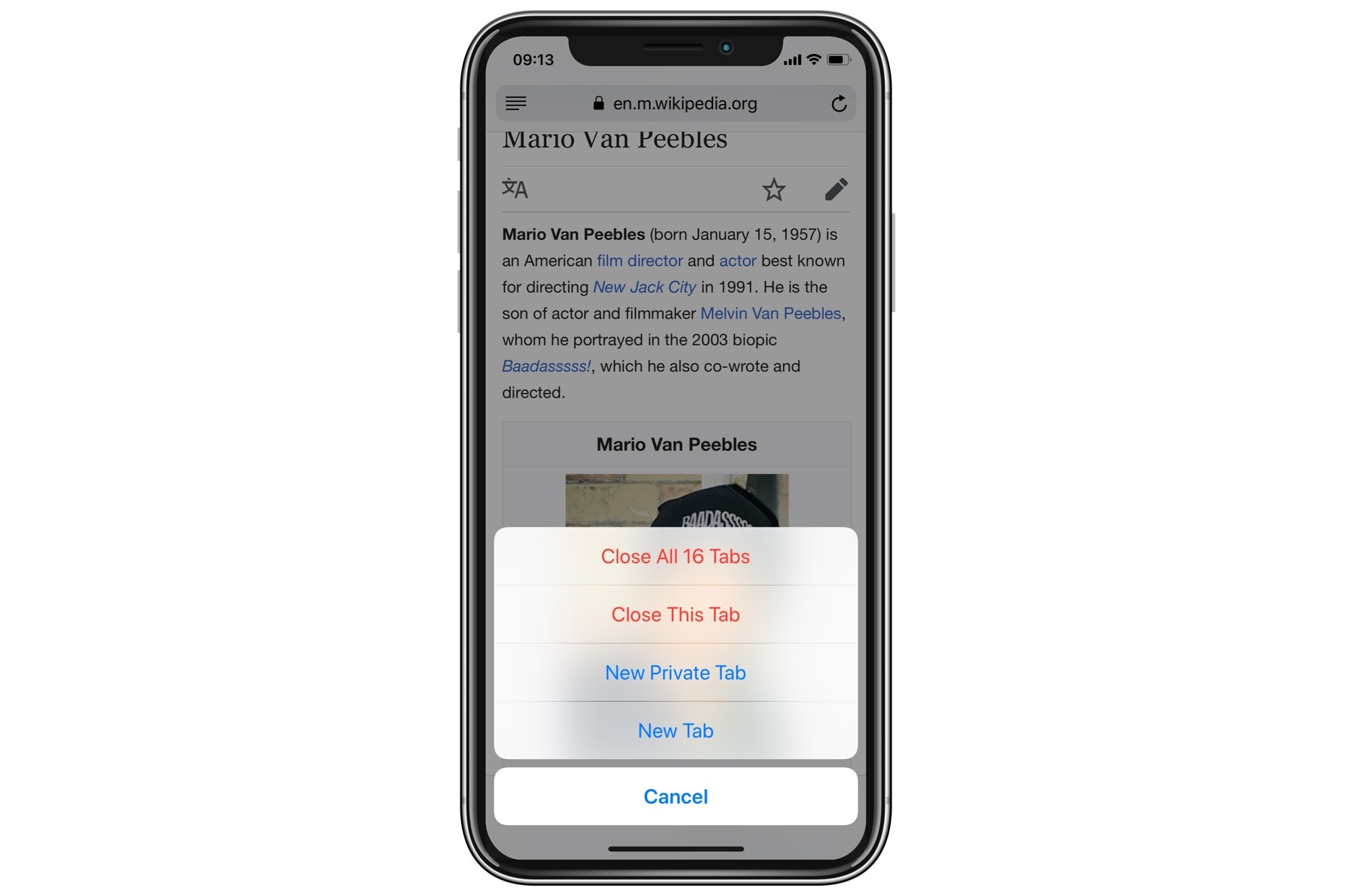 Close all tabs in mobile Safari.