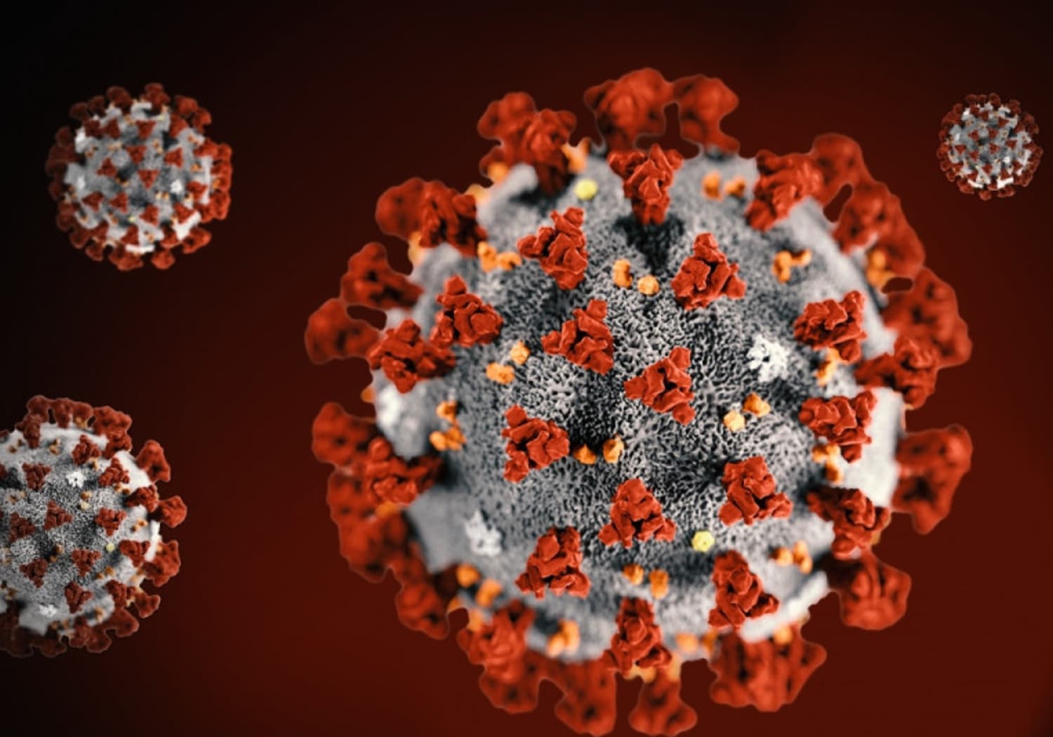 covid.19.coronavirus.graphic2