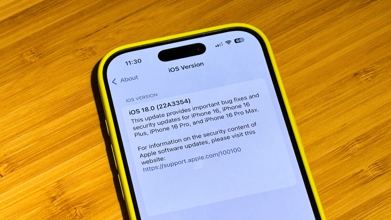 Photo of iPhone with iOS 18.0 build 22A3354 info.