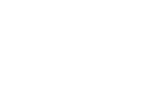 Brooklyn College - Logo White